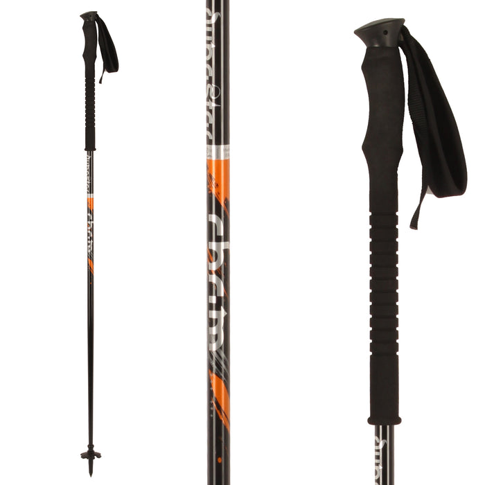Dynastar Cham BC Ski Poles 2010