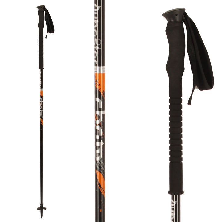 Dynastar Cham BC Ski Poles 2010