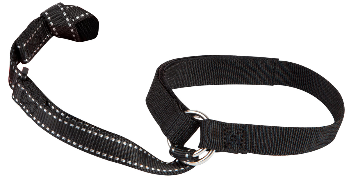 Fritschi Diamir Ski Leash 2013 None Front View