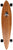 Arbor Pin Bamboo Longboard Complete Top View