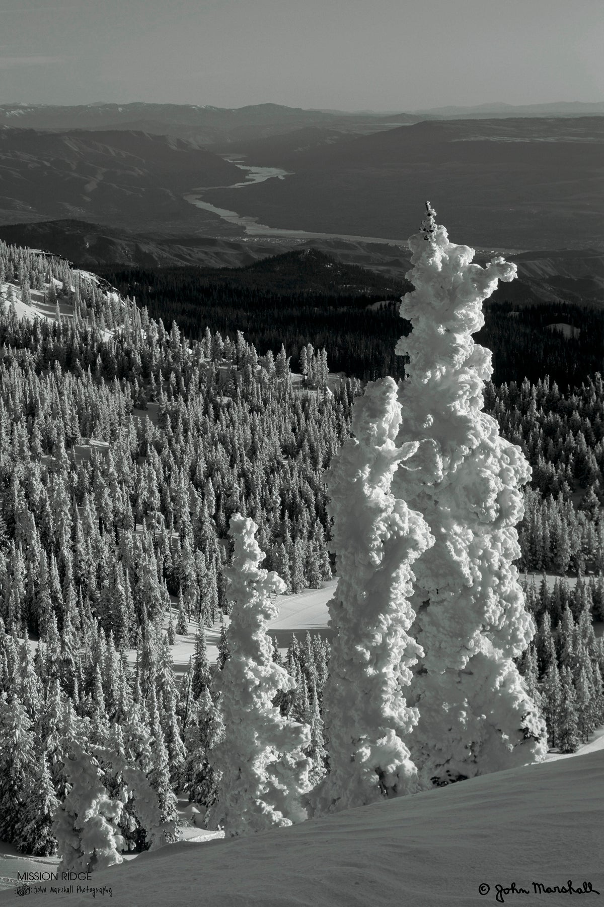 evo Mission Ridge Print