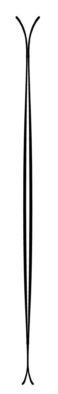 Line Skis Celebrity Skis - Women's 2015 Rocker Profile View