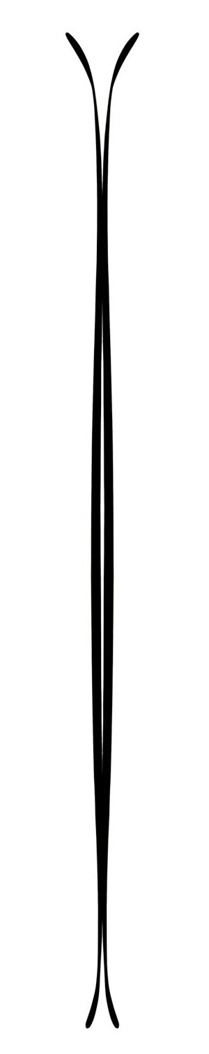 Line Skis Sick Day 110 Skis 2015 Rocker Profile View