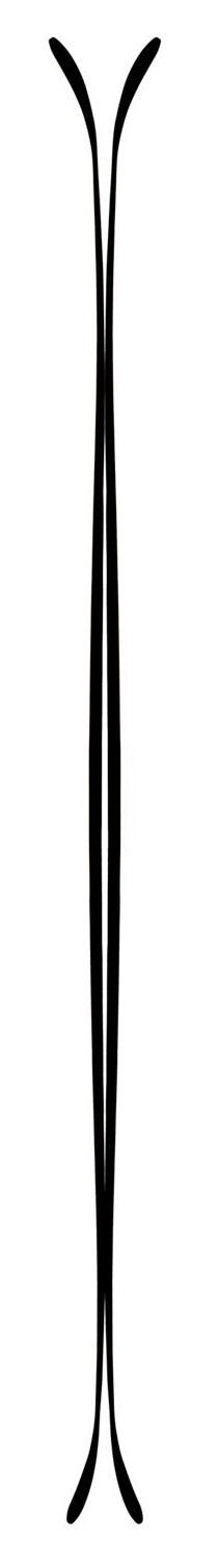 Line Skis Supernatural 115 Skis 2015 Rocker Profile View