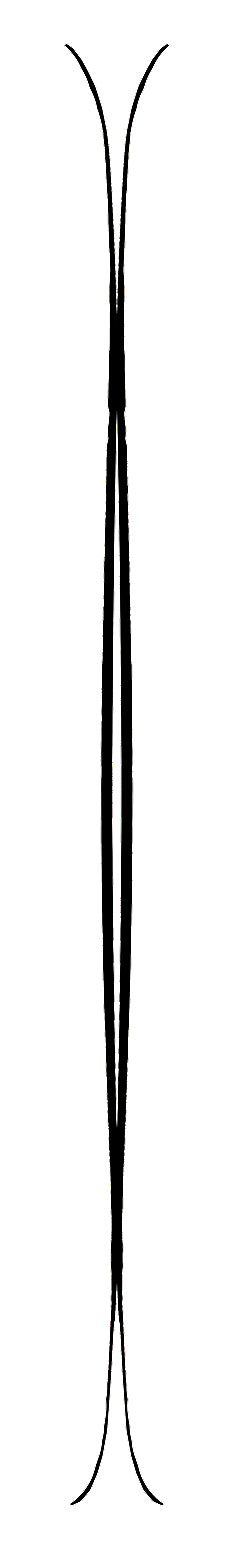 Line Skis Mr Pollard's Opus Skis 2015 Rocker Profile View