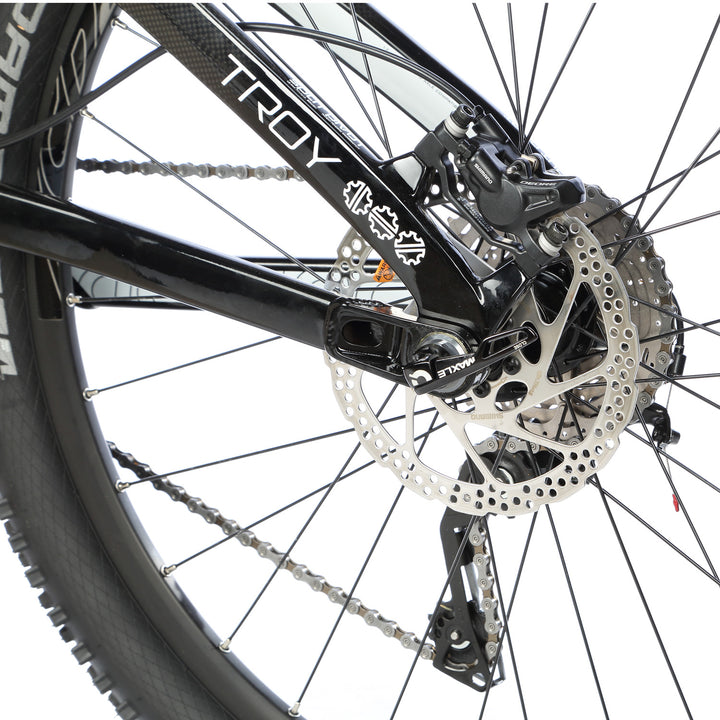 Devinci Troy Carbon XP Complete Mountain Bike 2015 Carbon/White