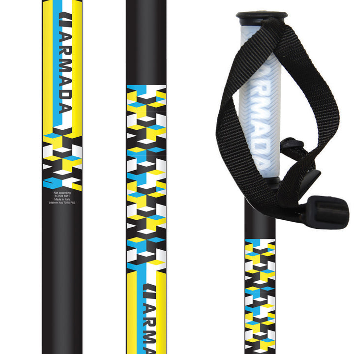 Armada Motive Ski Poles 2010 None