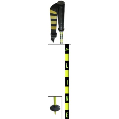Line Skis Pin Ski Poles 2010 None