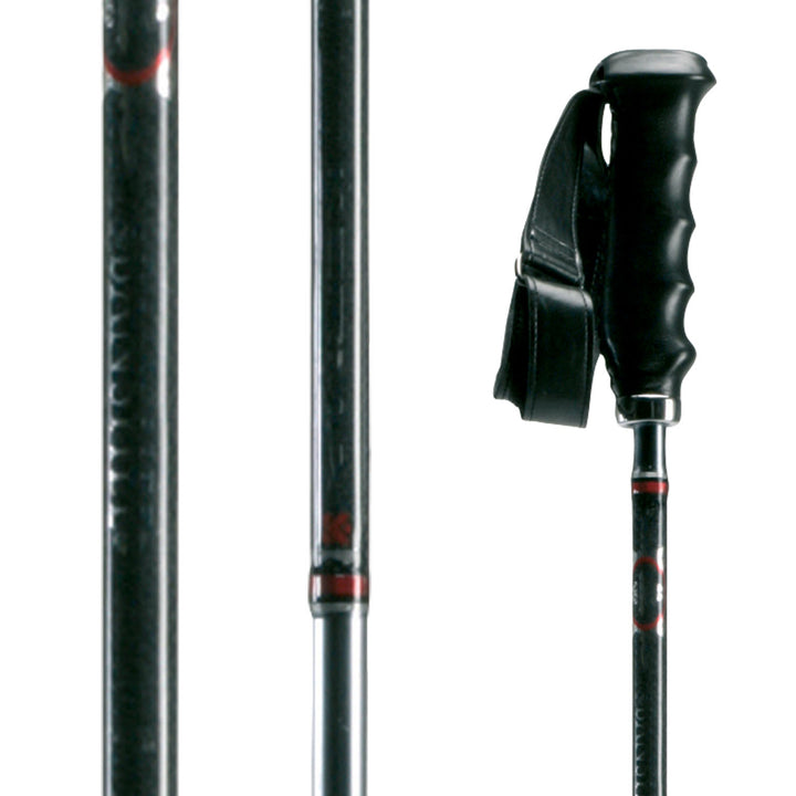 Dynastar Banshee Ski Poles 2010 None