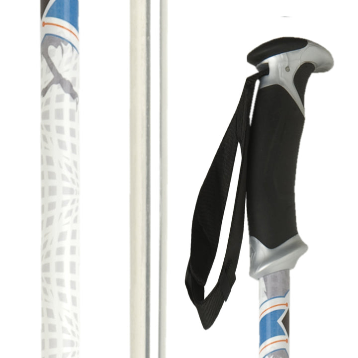 Black Diamond Boundary Ski Poles 2012 None