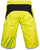 Dakine Descent Shorts Sulphur