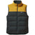 Patagonia Reversible Bivy Down Vest Carbon
