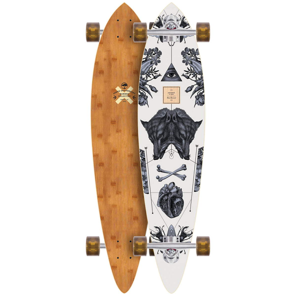 Arbor Fish Bamboo Longboard Complete