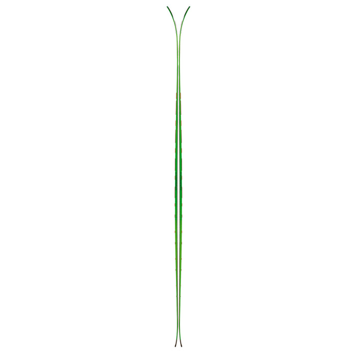 Black Crows Vertis Birdie Skis - Women's 2019
