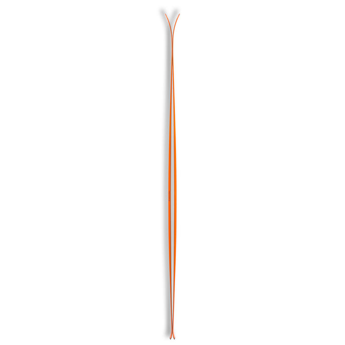 Black Crows Vastus Freebird Skis 2018