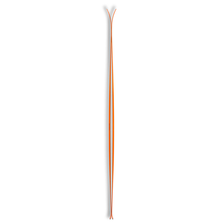 Black Crows Vastus Freebird Skis 2018