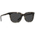 RAEN Arlo Sunglasses Matte Brindle/Black Polarized