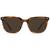 RAEN Arlo Sunglasses Matte Brindle/Black Polarized