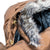 Holden Carter Jacket - Women's Bison