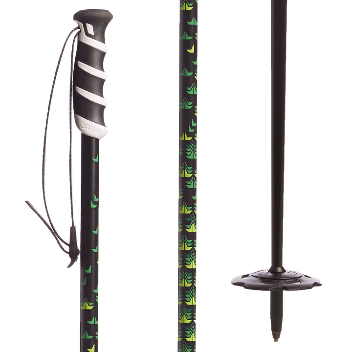 SWIX evoStick Ski Poles 2018