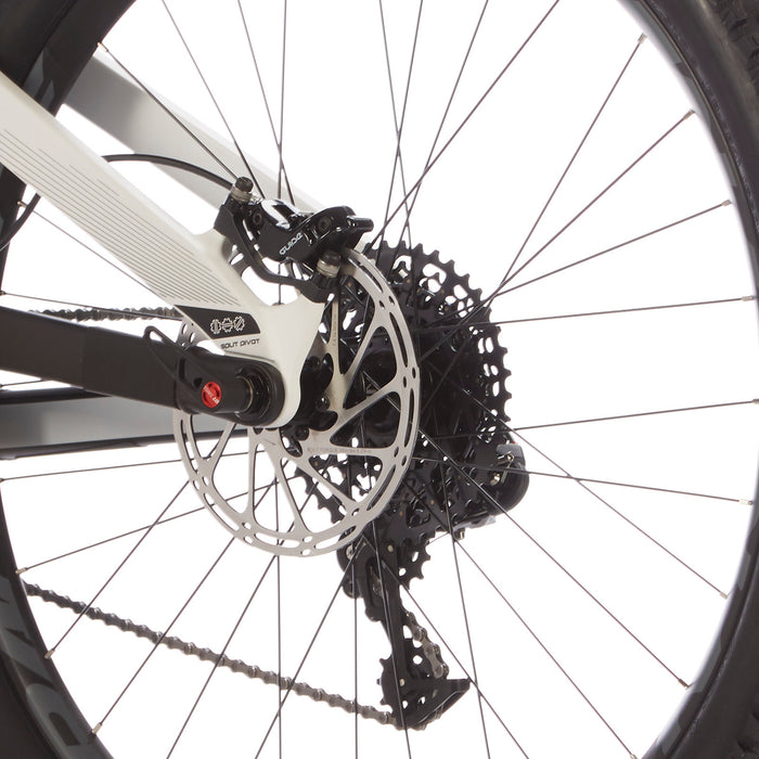 Devinci Django Carbon LT GX Complete Mountain Bike 2017 Carbon/White