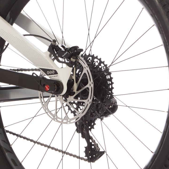 Devinci Django Carbon LT GX Complete Mountain Bike 2017 Carbon/White