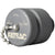 FatSac Female Quick Connect with Chain & Cap None
