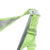 Nemo Stargaze Recliner Luxury Chair Birch Leaf Green