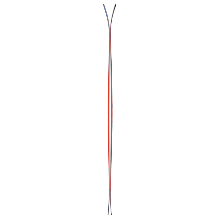 Nordica Enforcer 100 Skis 2019