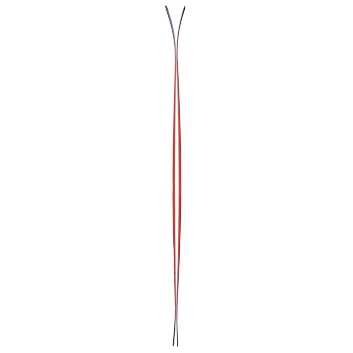 Nordica Enforcer 93 Skis 2019