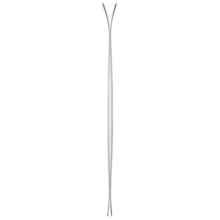 Nordica Santa Ana 93 Skis - Women's 2019
