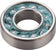 Enduro Bearings MAX Greasable Angular Contact Bearing