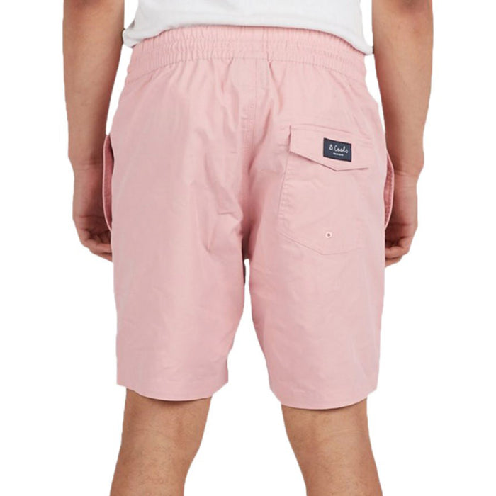 Barney Cools Amphibious 17" Swim Trunks Pink