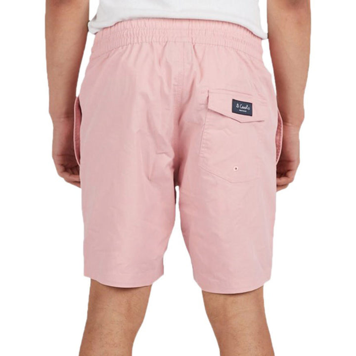 Barney Cools Amphibious 17" Swim Trunks Pink
