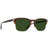 RAEN Wiley Alchemy Sunglasses Americano/Bottle Green