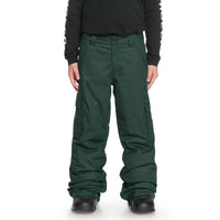 DC Banshee Pants - Boys' Pine Grove::Pine Grove