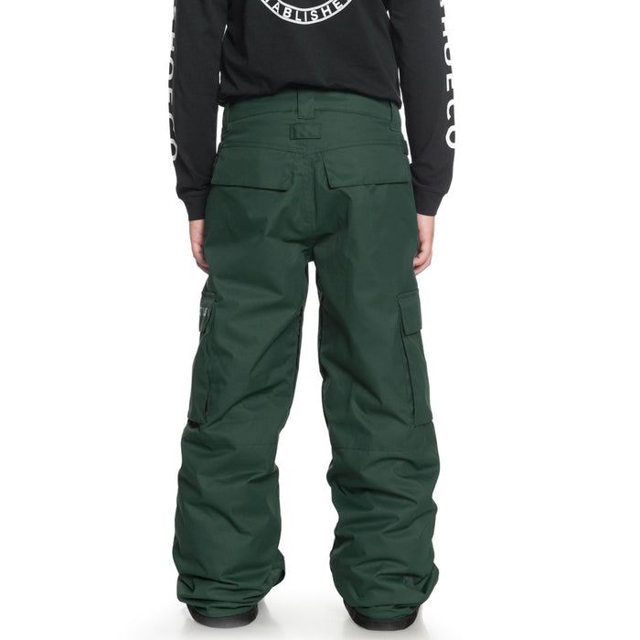 DC Banshee Pants - Boys' Pine Grove