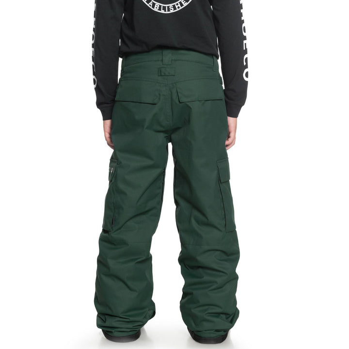 DC Banshee Pants - Boys' Pine Grove