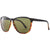 Electric Encelia Sunglasses - Women's Darkside Tort/Ohm Grey Polarized