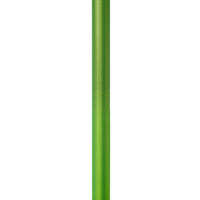 evo Send'r Ski Poles 2020 Matte Black/Matte Green Stripe Fade