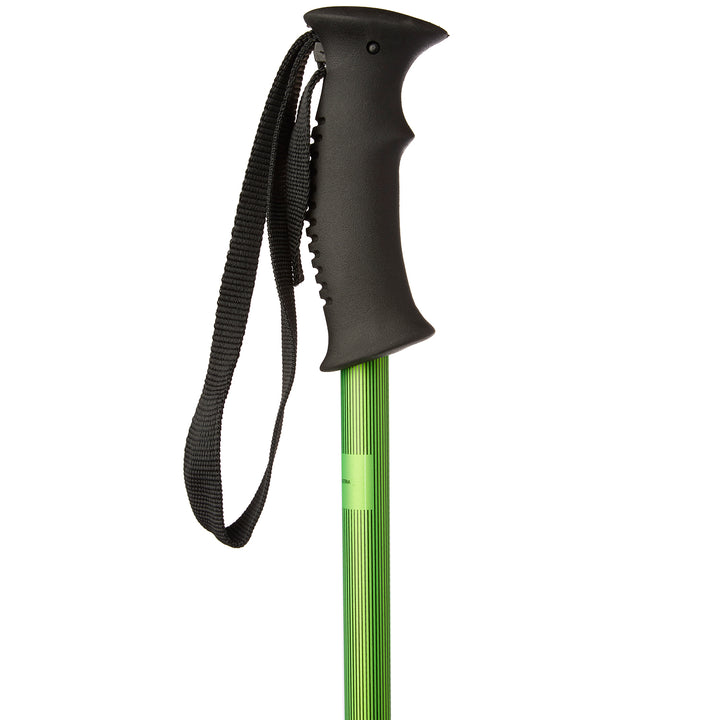 evo Send'r Ski Poles 2020 Matte Black/Matte Green Stripe Fade