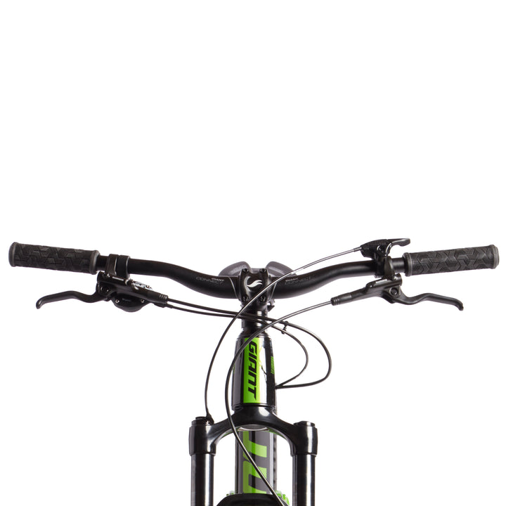 Giant Trance Jr 26 Complete Mountain Bike - Kids' 2019 Metallic Green