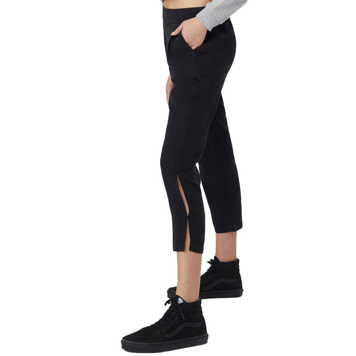 Tentree Langford Pants - Women's Meteorite