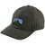 Patagonia Fitz Roy Horizons Trad Cap Forge Grey