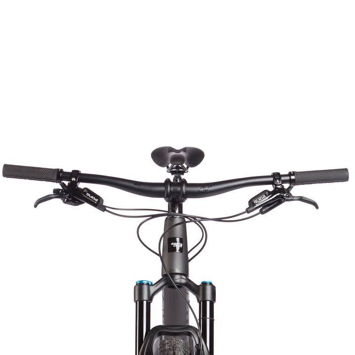 Santa Cruz Bicycles 5010 C S+ Complete Mountain Bike 2019 Matte Carbon
