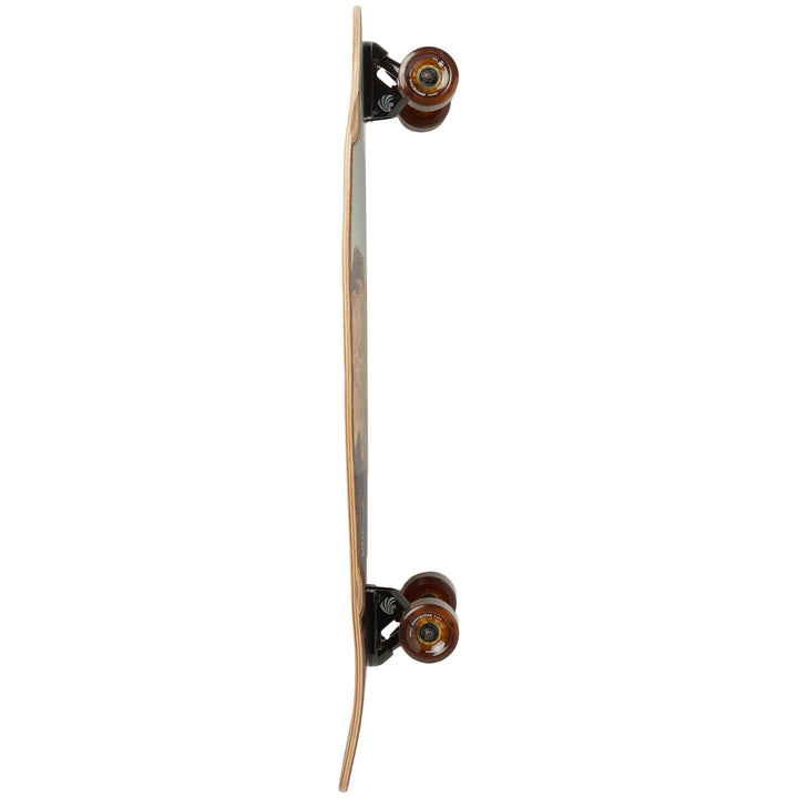 Arbor Mission Photo Longboard Complete