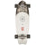 Globe Sun City Onshore Cruiser Skateboard Complete