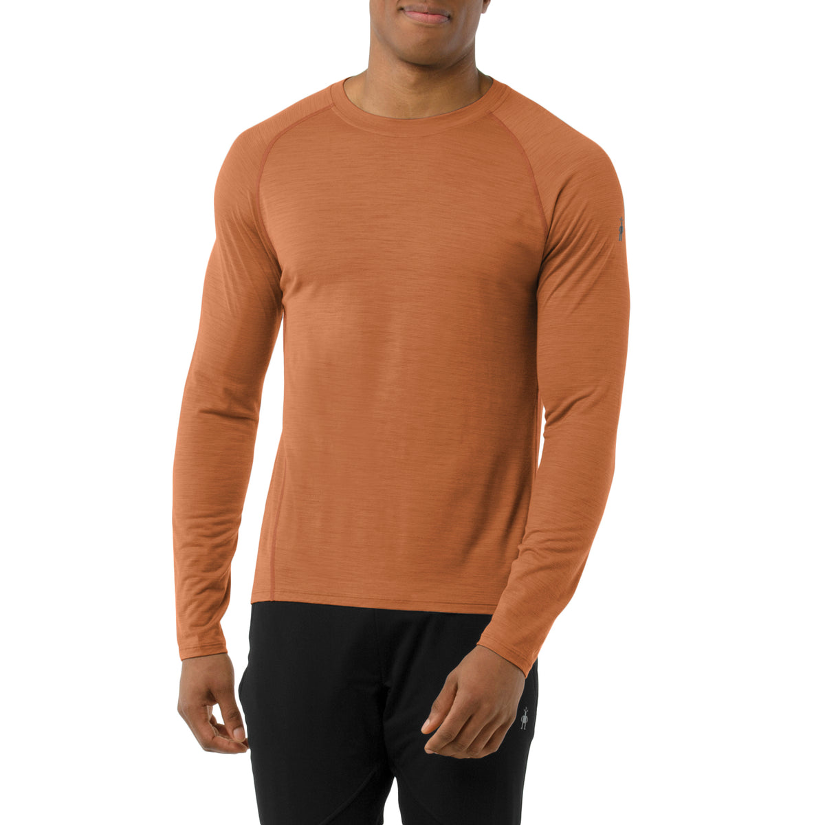 Smartwool Merino 150 Baselayer Pattern Long Sleeve Top Cardamom