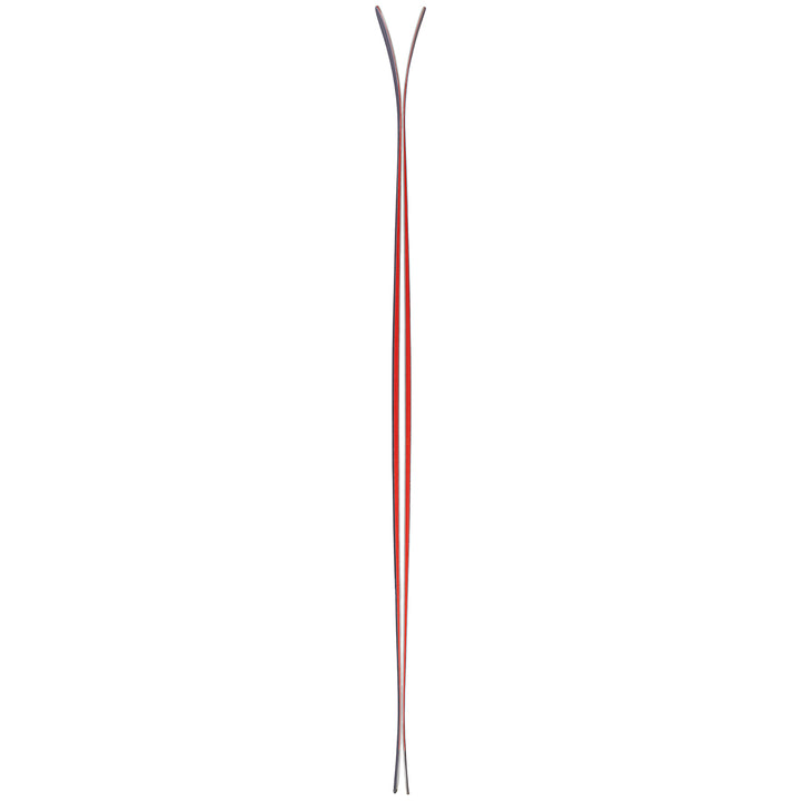 Nordica Enforcer 93 Skis 2020
