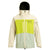 Burton AK 2L GORE-TEX Swash Jacket Almond Milk/Tender Shoots/Aqua Gray